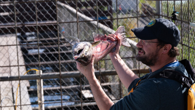 ... und dem Publikum präsentiert
