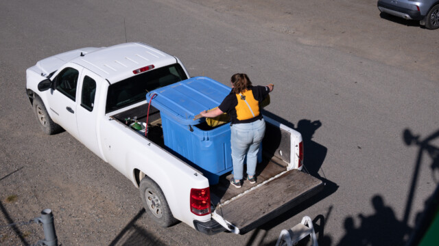 hier ist er wieder im Wasser