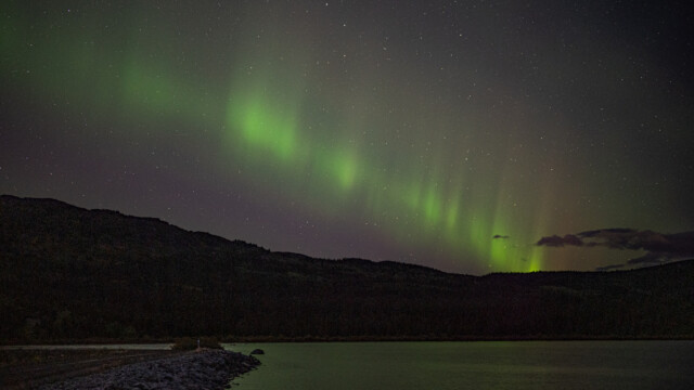 ... dann immer stärker