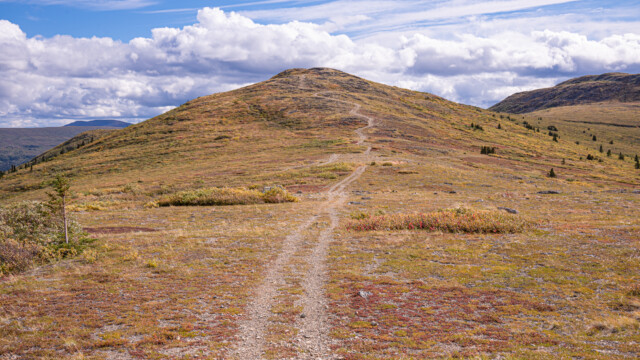 die letzten Meter oder so
