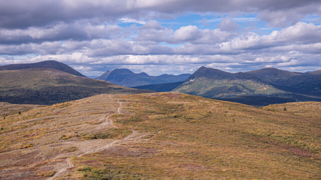 Blick zurück in die Weiten des Yukon