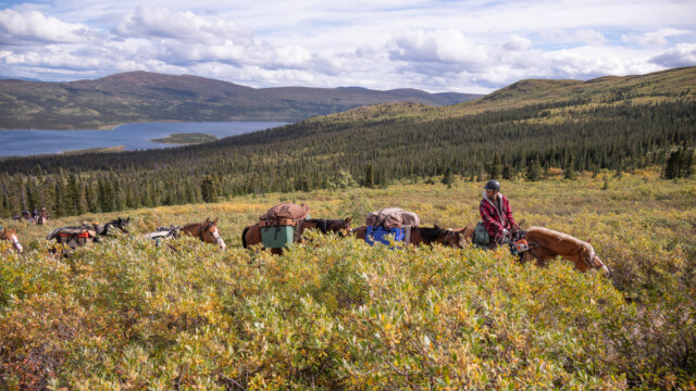 Reitergruppe mit Packpferden