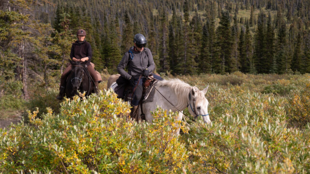 cooler Reithelm mit integrierter Sonnenbrille