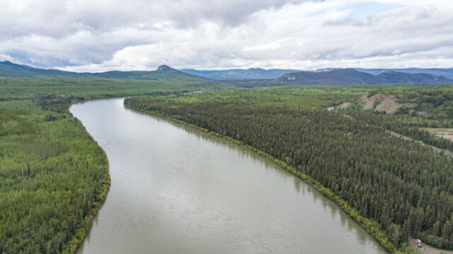 Yukon-River am Ende des Robert Campbell Highways, bereits ein riesiger Strom; unten rechts steht Jupi