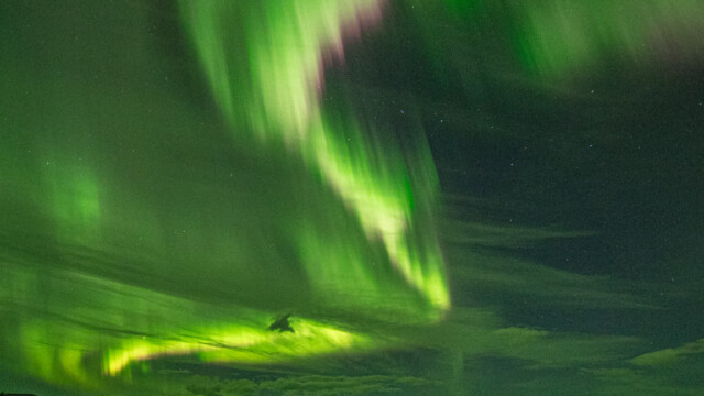immer intensiver und schneller bewegt sich der Polarlichtvorhang