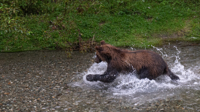 Runner hat ihn gleich
