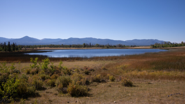 immer wieder kleine Seen