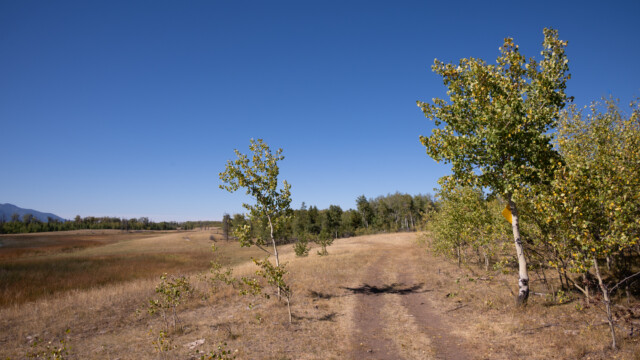 Schöne Wanderwege...
