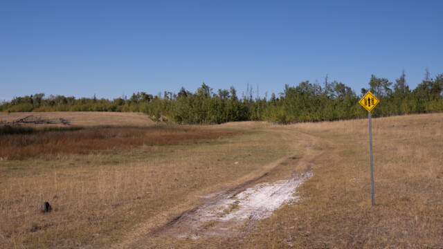... mit Ablagerungen; wahrscheinlich ist es immer wieder nass, dann verdunstet das Wasser wieder und es wird wieder nass - ein Kreislauf;