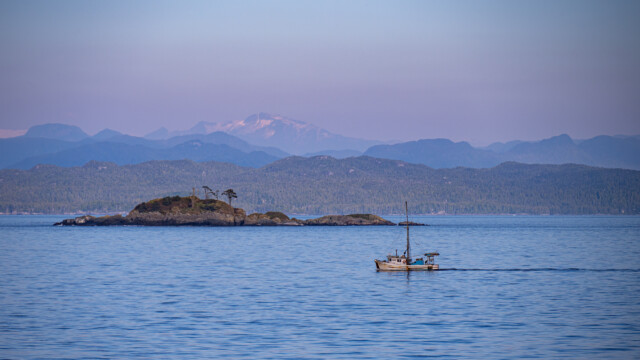 Abendstimmung auf dem Weg nach Port Hardy