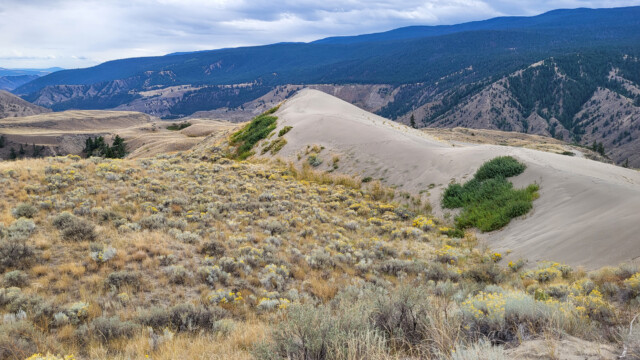Sanddüne auf dem Farwell Canyon