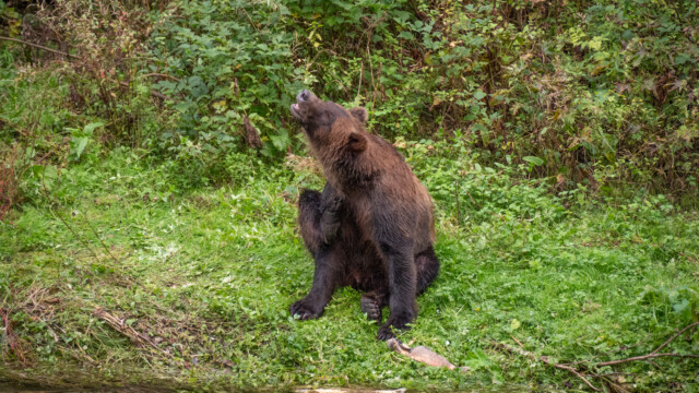 langsam geht es wieder aufwärts