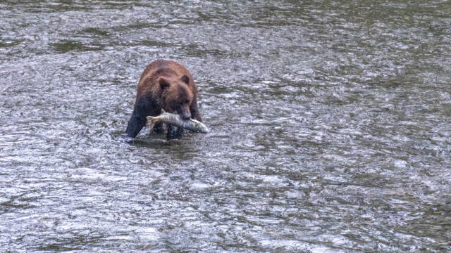 ... endlich wieder etwas zu futtern, so gut;