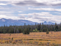 schöne Herbstlandschaft