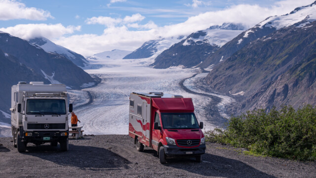 Jupi vor dem Salmon-Gletscher