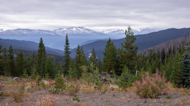 zuoberst auf dem Pass