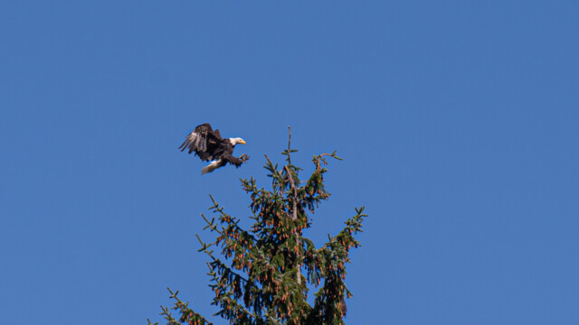 kurz vor der Landung
