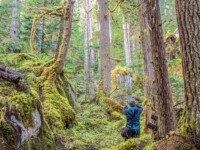 die Dimensionen erkennt man erst, wenn jemand im Bild steht