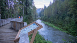 Zuschauersteg - Fish Creek Wildlife Observation Site