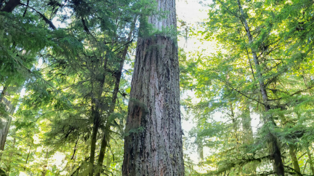 da kommen wir uns winzig vor