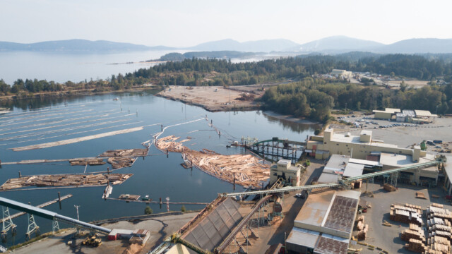 die Baumstämme kommen hier in ein Sägewerk und werden zu Brettern verarbeitet