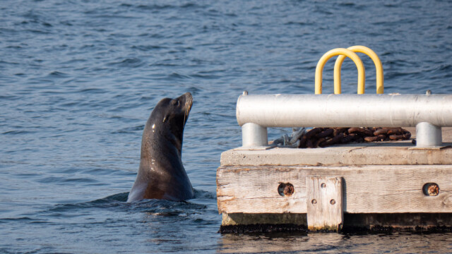 ob ich hier raufkomme?