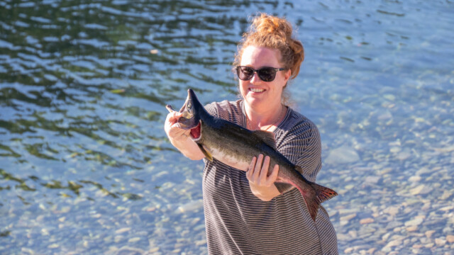 ein stattlicher Lachs