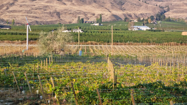 alte Windgeneratoren als Lärmemacher