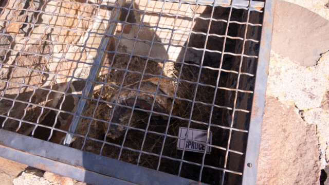 leider hinter Gitter