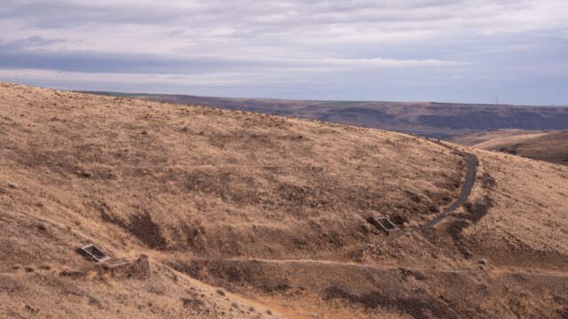 hier hat es mehrere versteinerte Bäume, leider eingemauert und hinter Gittern