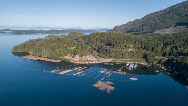 kleiner Holzumschlagsplatz