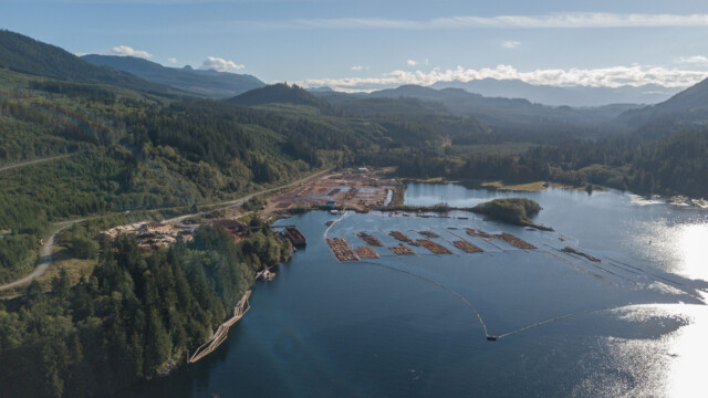 sehr grosser Holzumschlagsplatz