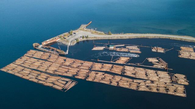 grosser Holzumschlagsplatz