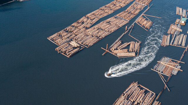 ein kleines Boot rauscht zwischen den Holz-Flössen durch