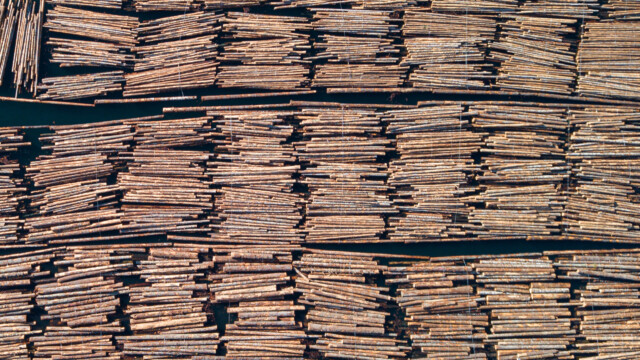 schön gebündeltes Holz im Wasser
