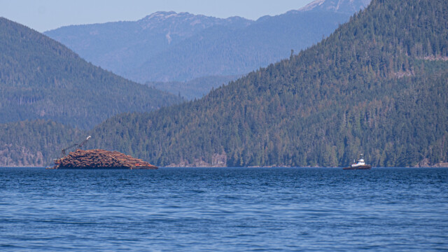 Alternative: Holzbündel auf Floss verladen
