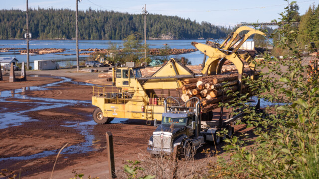 packen alles Holz auf dem Laster in einem Zug