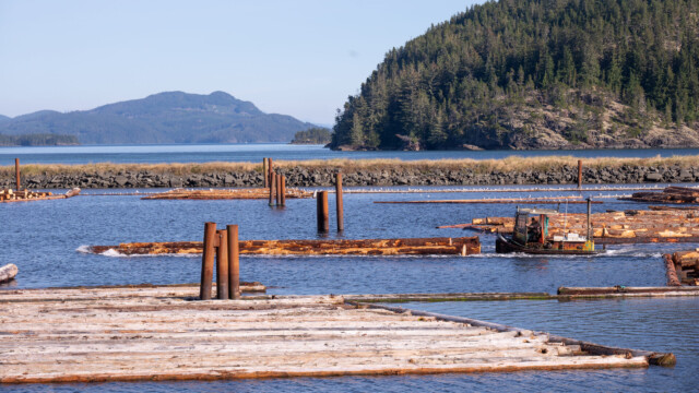Holzbündel wird mit kleinem Boot verschoben