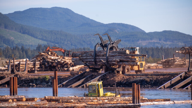 zusammengebundenes Bündel kommt ins Wasser