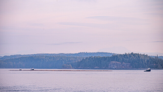 Holzfloss unterwegs, vorne gezogen, hinten gestossen