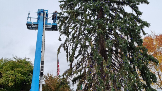 Montage der Weihnachtsbeleuchtung