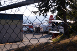 durch den Maschenzaun