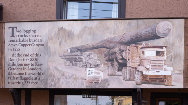 diesen Transport gab es tatsächlich, aus dem langen Stamm würde die höchste Fahnenstange aus Holz der Welt