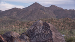 bei vielen ist die Bedeutung unklar