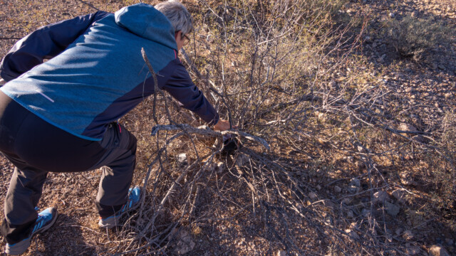 ... versteckt in einem Gebüsch; da wir selber keine Geschenke haben, öffnen wir sie aber nicht.