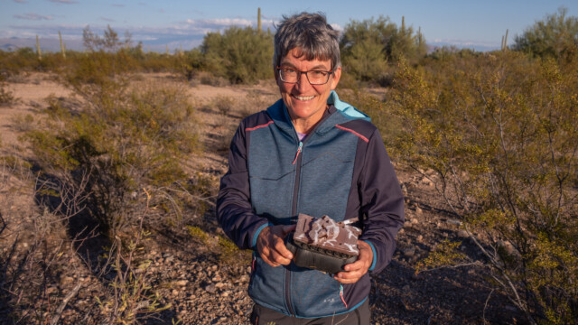 Bettina's erster Geocache: Ein Panzer auf einer Plastikdose...