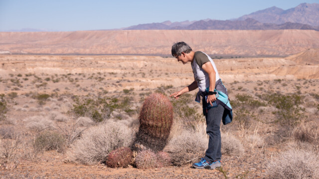 vorsicht, die Stacheln sind scharf