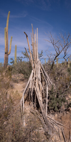 sieht aus wie mit Weidenruten zusammengesteckt