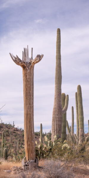 die ursprĂĽngliche Form ist noch zu erkennen