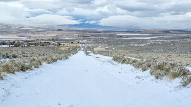 am Morgen bin ich der erste Jogger auf diesem Weg